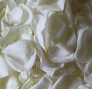 Elegant white rose petals for weddings, romantic events, and sophisticated decor.
