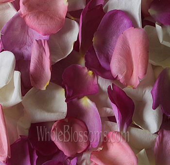 Mix of dark pink and white fresh rose petals perfect for weddings and events.