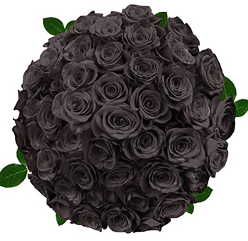 Black Rose Collection featuring deep black velvety blooms, ideal for gothic themes, weddings, and luxurious floral arrangements with bold sophistication.