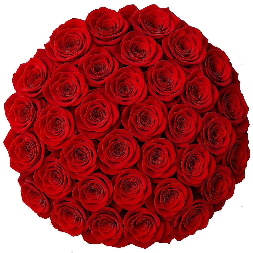 Luxurious fresh cut bulk red roses, embodying romance, passion, and sophistication for every memorable celebration.