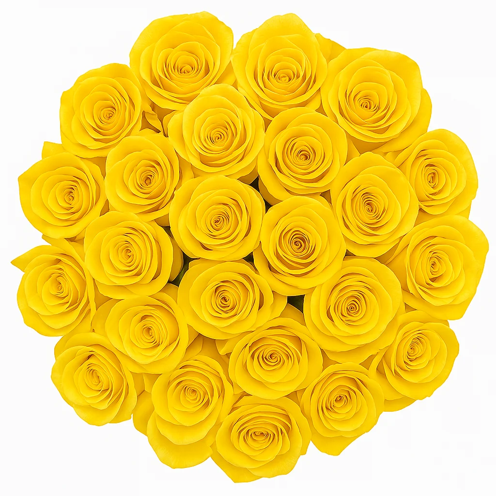 Charming fresh cut bulk yellow roses, symbolizing warmth and friendship with their radiant, cheerful blooms for every celebration.