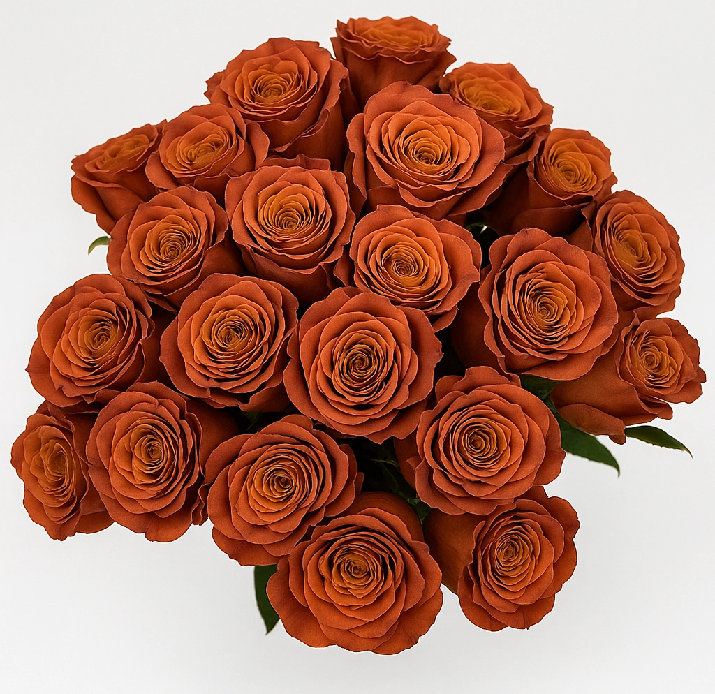 Elegant dyed roses with vibrant hues, perfect for weddings and premium celebrations.