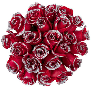 Wholesale Roses