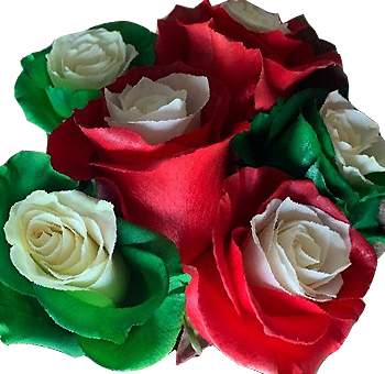 Festive Green & Red Rose Christmas Flowers with vibrant red, green, and white petals, perfect for holiday centerpieces, bouquets, and seasonal décor.