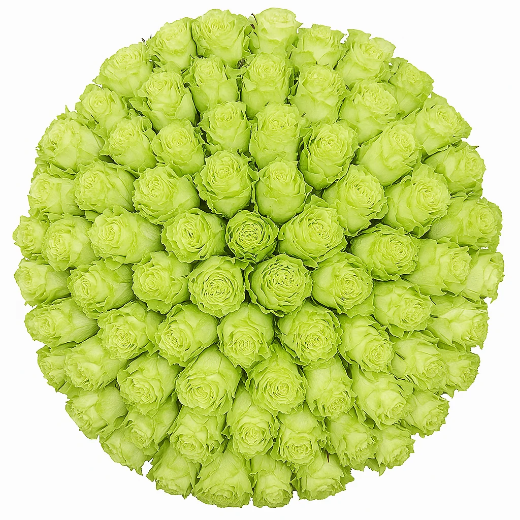 Premium fresh cut bulk green roses, representing renewal and harmony, ideal for unique and modern floral designs.