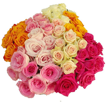 Assorted Biological Roses in vibrant colors, including pink, white, yellow, and orange, ideal for weddings, events, and eco-friendly floral arrangements.