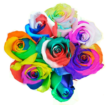 Stunning centerpiece of vibrant Rainbow Roses, adding a magical splash of color to a celebratory eve