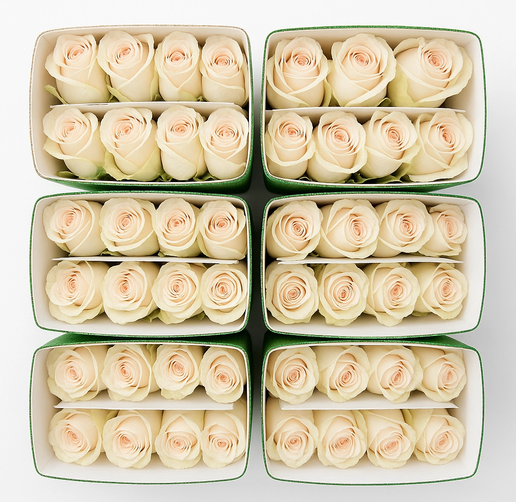 Bulk rose varieties by name for weddings and events to suit any theme.