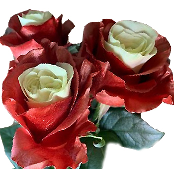 White and copper rose collection with warm tones, perfect for weddings, events, and elegant floral décor.