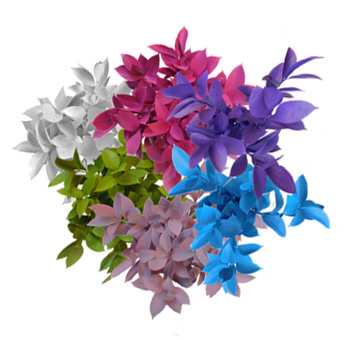 Easter Flowers