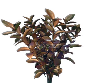 Bronze Flowers