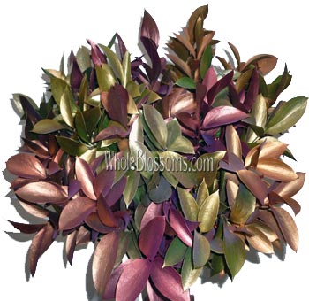Thanksgiving Flowers