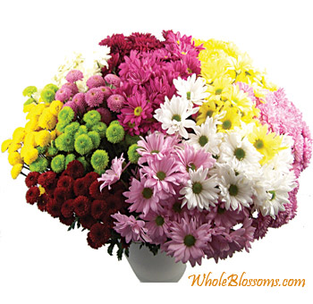 Assorted pom pom flowers for online flower sale, enhancing your wedding flowers with vibrant pom flowers.