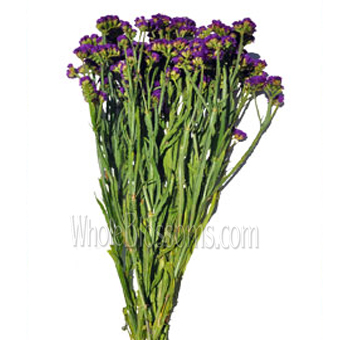 Bundle of purple Statice filler flowers with long green stems, ideal for enhancing the volume and color of event decorations and centerpieces.