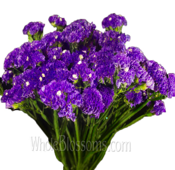 Bundle of blue-purple Statice flowers with vivid blooms and long green stems, perfect for enhancing bouquets, centerpieces, and decorations with vibrant color.