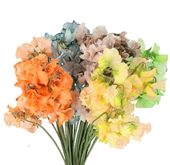 Dyed Flower