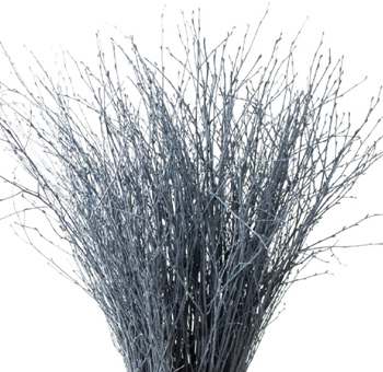 Birch Branches