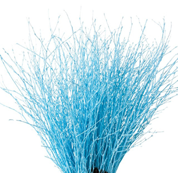 Decorative Branches