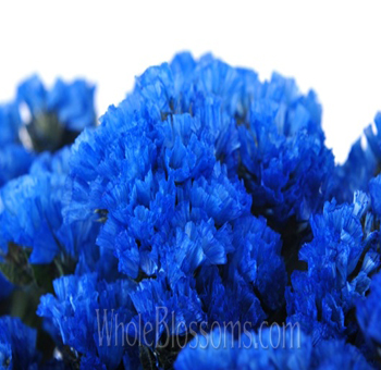 Pastel blue statice blooms with a timeless look, ideal for wedding centerpieces, gifts, and bulk floral use.