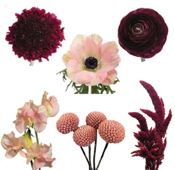Blush & Burgundy Floral Bundle, featuring a romantic mix of ranunculus, sweet peas, anemones, craspe