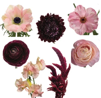 Blush and burgundy wedding bundle, embodying timeless romance.