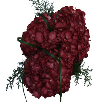Close-up of a Painted Burgundy Hydrangea bouquet centerpiece with full burgundy petals and subtle greenery for romantic floral styling.