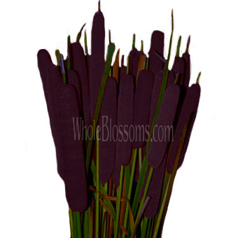 Cattails Dark Purple