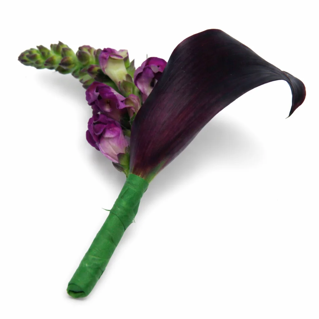 Dark purple mini calla boutonniere with moody elegance, perfect for weddings, grooms, and events.