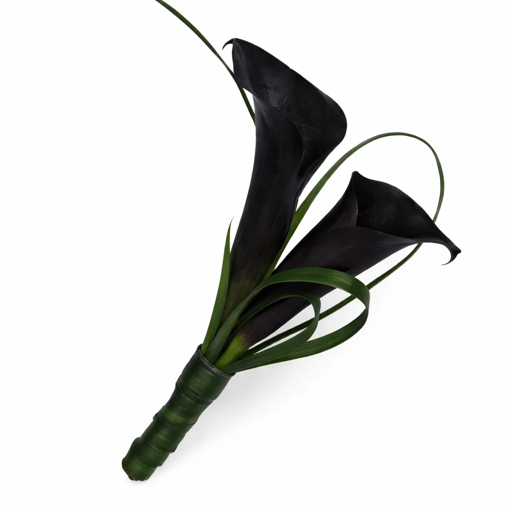 Dark purple mini calla boutonniere brings depth to weddings, bold gifts, and formal floral touches.