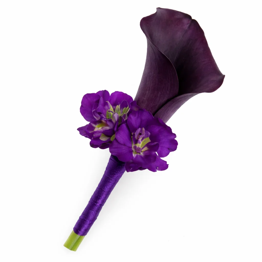 Dark purple mini calla boutonniere brings bold charm to weddings, groomsmen, and luxury floral gifts.