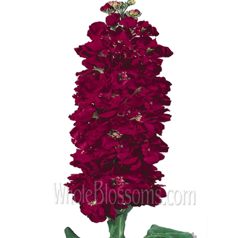 Stock Flower Centerpieces
