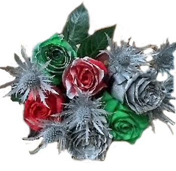 Holiday Jingle Bells Rainbow Roses with red, green, and silver blooms accented by spiky thistle flowers, perfect for festive floral arrangements and Christmas décor.