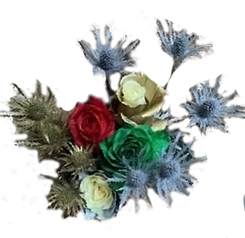 Holiday Wonderland Rainbow Roses with red, green, white, and gold blooms accented by spiky blue thistle flowers, perfect for festive holiday arrangements.