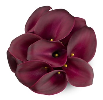 Cluster of rich cranberry burgundy Calla Lilies with smooth, velvety petals arranged in a circular pattern, showcasing their deep red hues and yellow stamens.