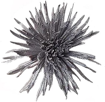 Silver Metallic Spider Mums With Glitter