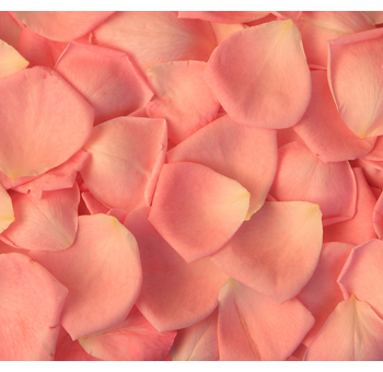 Charming salmon colored rose petals, ideal for romantic weddings, special events, or creating a soft and elegant atmosphere.