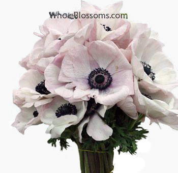 Elegant bouquet of blush anemone flowers with dark centers, ideal for sophisticated floral arrangements at weddings or special events.
