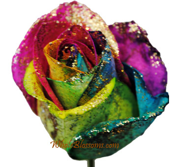 Close-up of a Rainbow Glitter Rose featuring vibrant multicolor petals with shimmering glitter for a magical, sparkling floral effect.