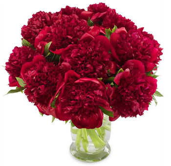 Vibrant red peony flower arrangement with lush, full blooms - perfect for weddings, romantic gifts, or heartfelt premium floral gifting.