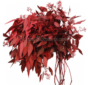 Red Flowers