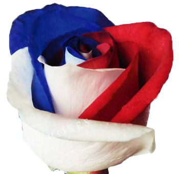 Wholesale Flowers