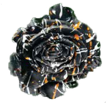 Roses For Sale