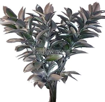 Silver Flowers