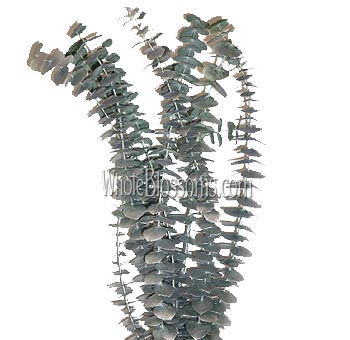 Silver Flowers