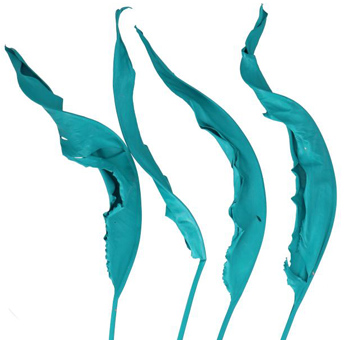 Turquoise bird of paradise leaf with oceanic tones, perfect for beach weddings, events, or creative styling.