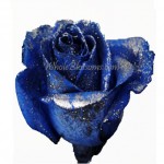 Blue Glitter Rose