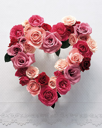 Valentines Roses