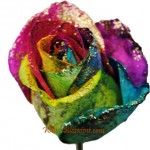 Rainbow Glitter Rose
