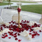 Stunning Decoration with Rose Petals Stunning Decoration with Rose Petals