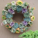 Succulent Wedding Flower
